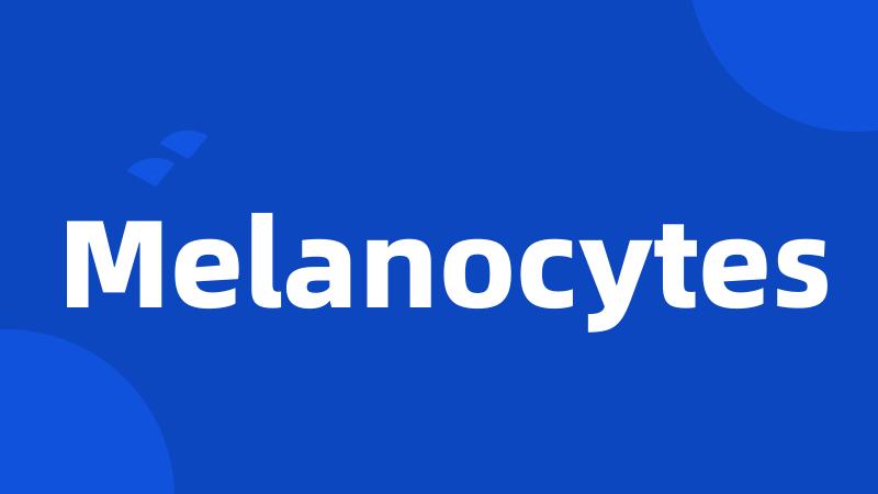 Melanocytes