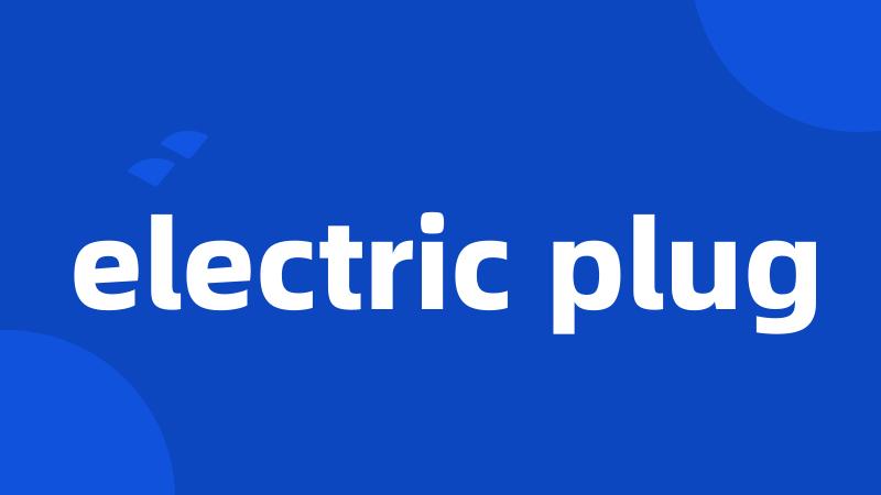 electric plug