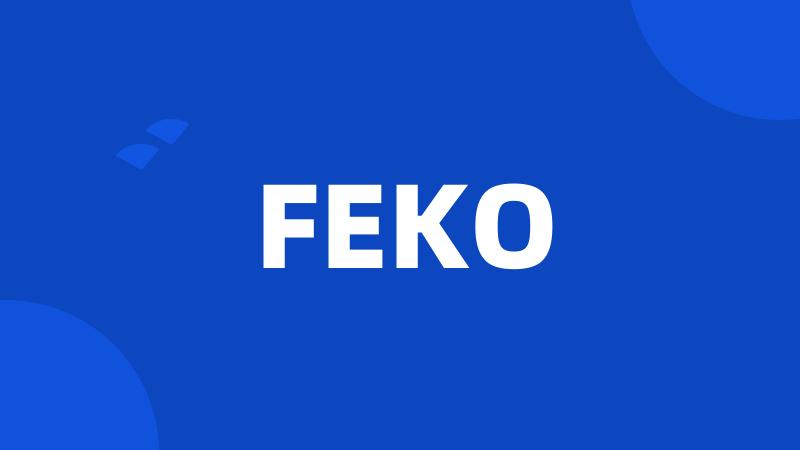 FEKO