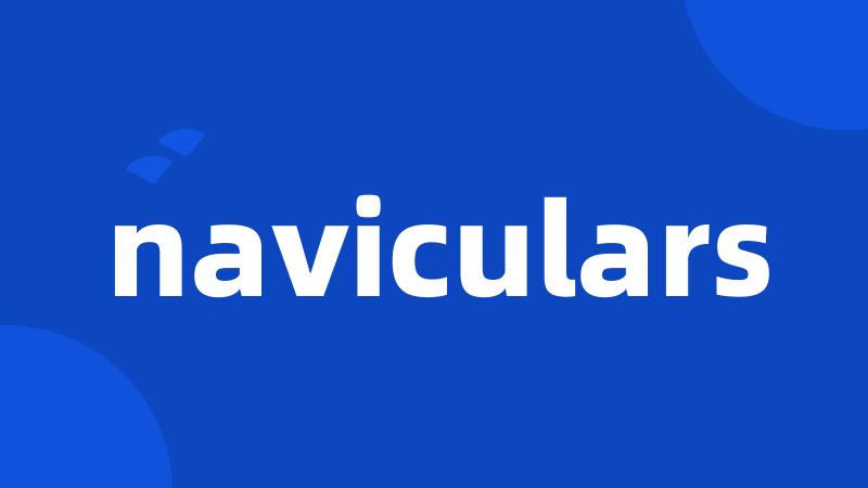 naviculars