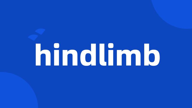 hindlimb