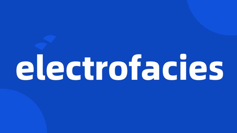 electrofacies