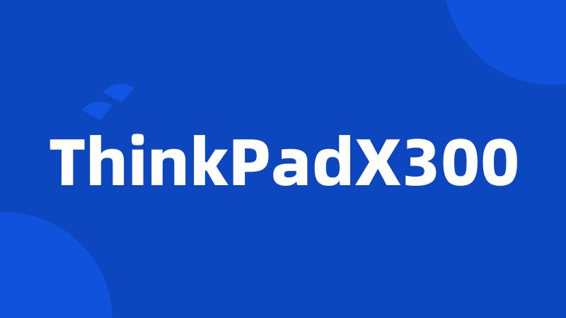 ThinkPadX300