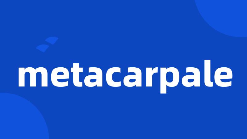 metacarpale