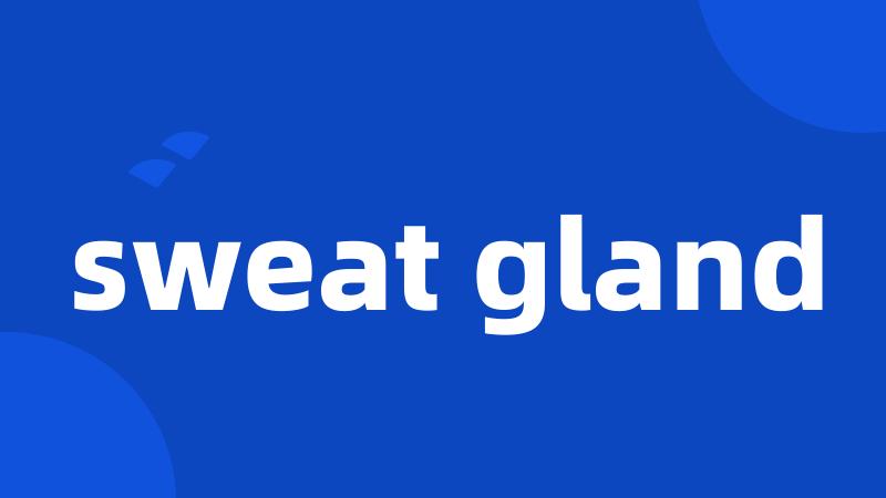 sweat gland