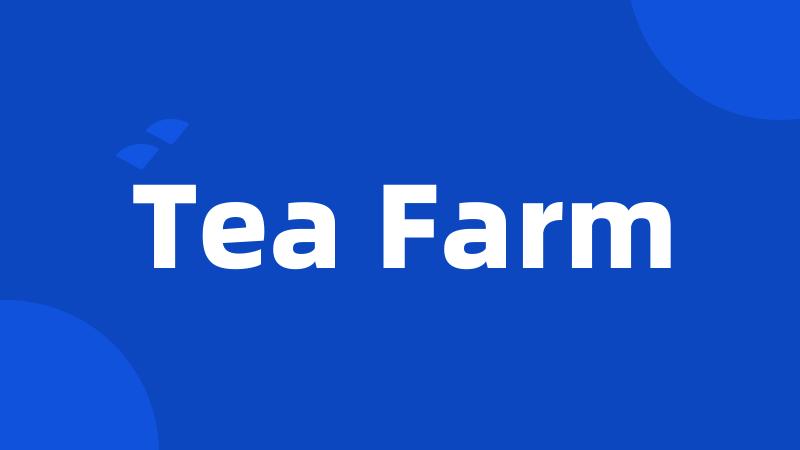 Tea Farm