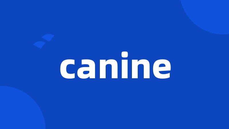 canine