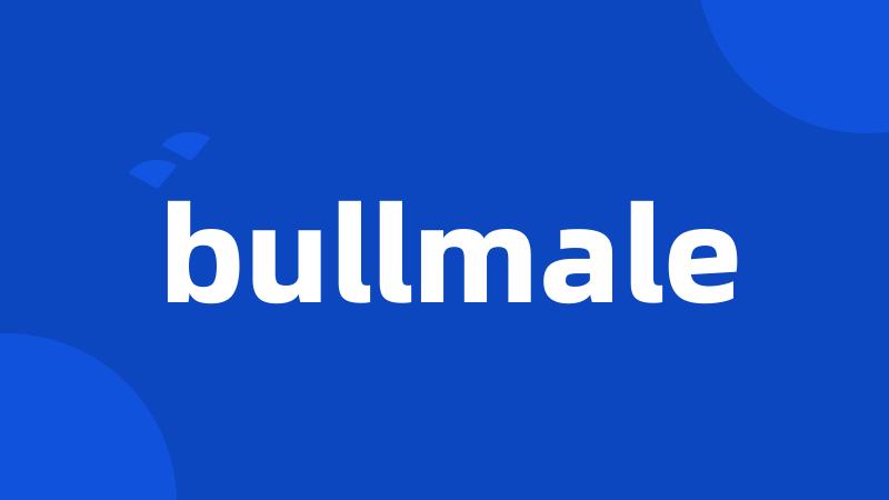 bullmale