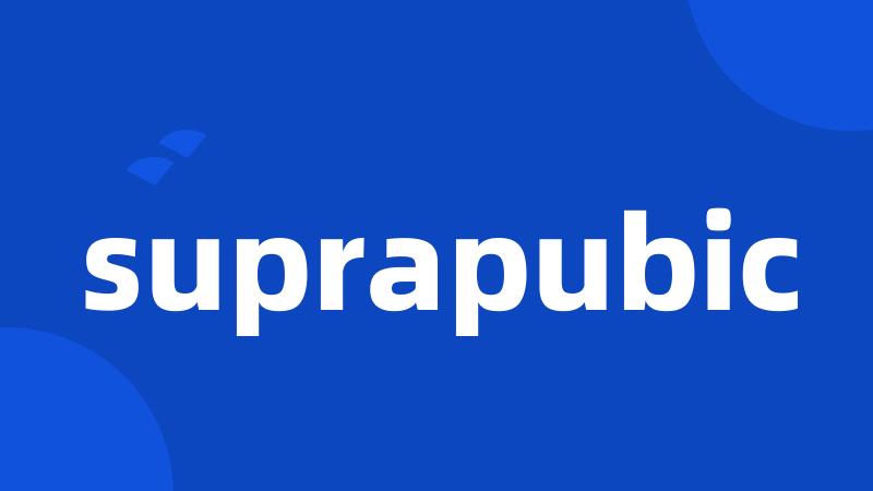 suprapubic