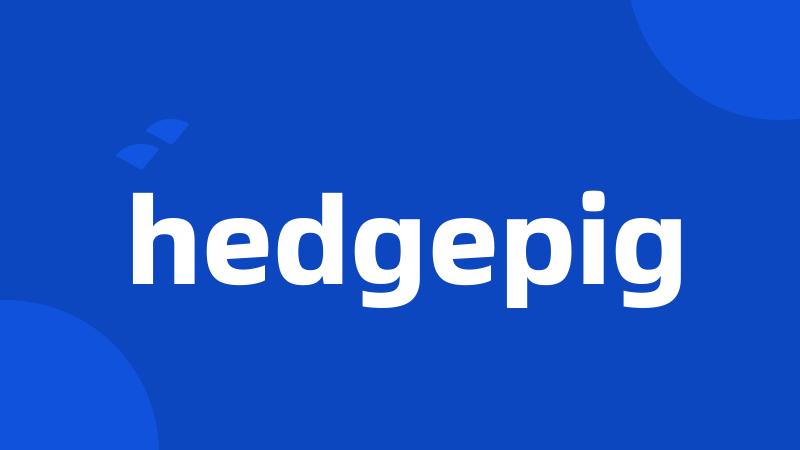 hedgepig