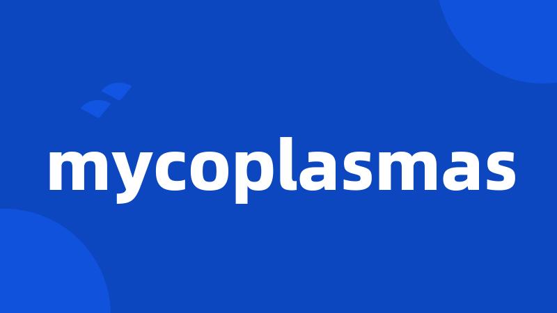 mycoplasmas