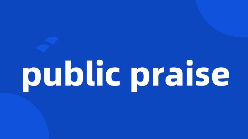 public praise