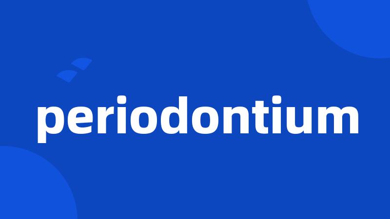 periodontium