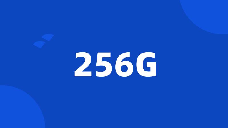 256G