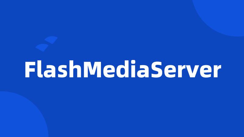 FlashMediaServer