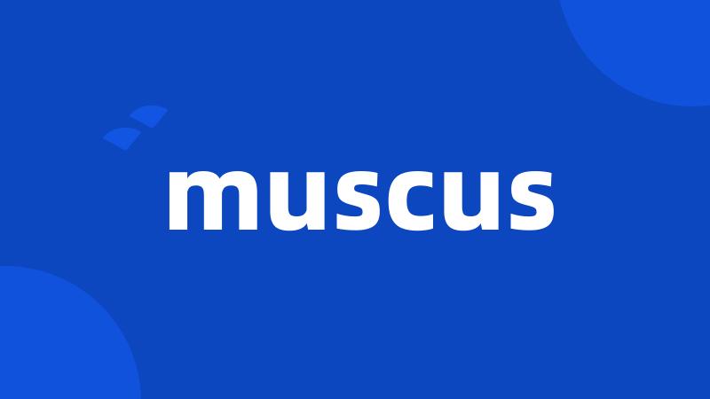 muscus