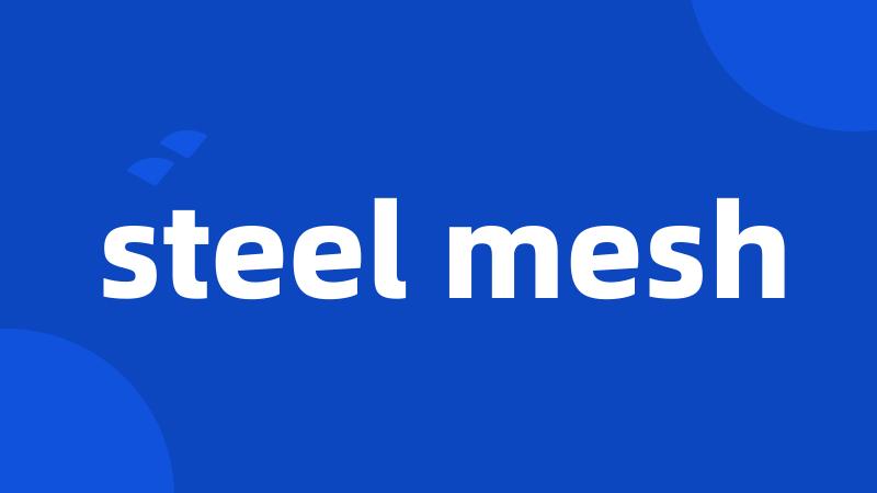 steel mesh