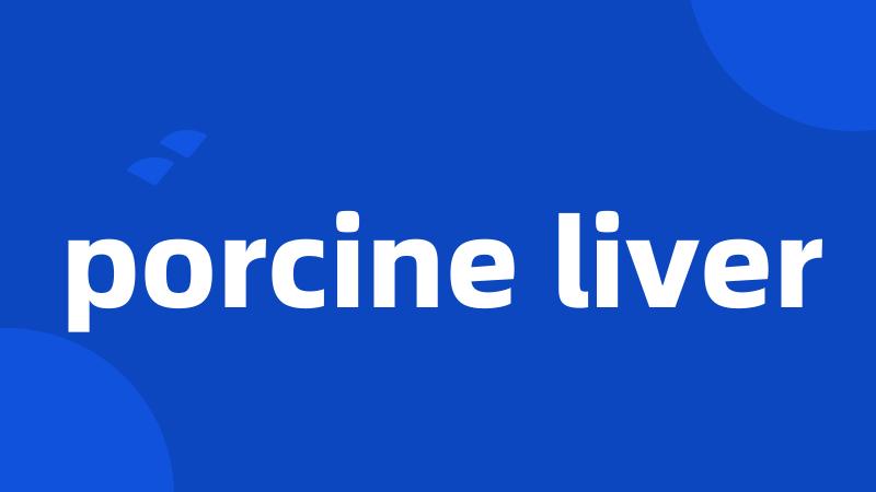 porcine liver