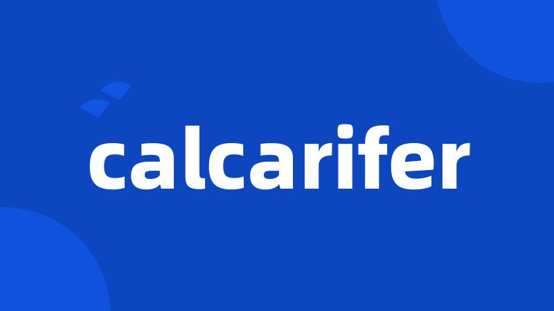 calcarifer
