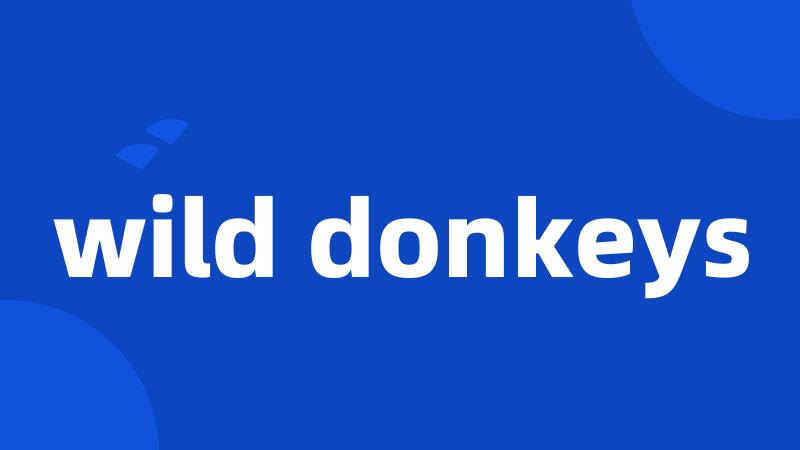 wild donkeys