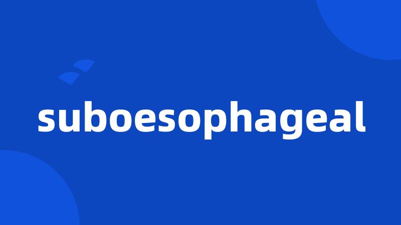 suboesophageal