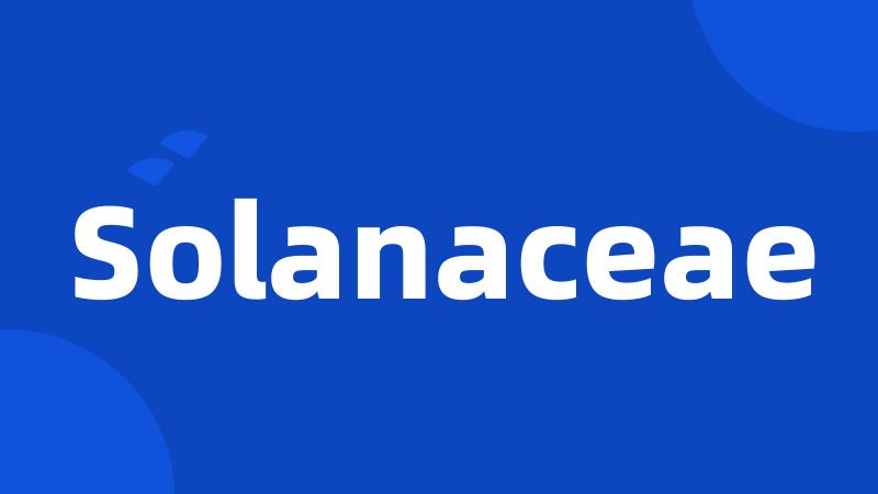 Solanaceae