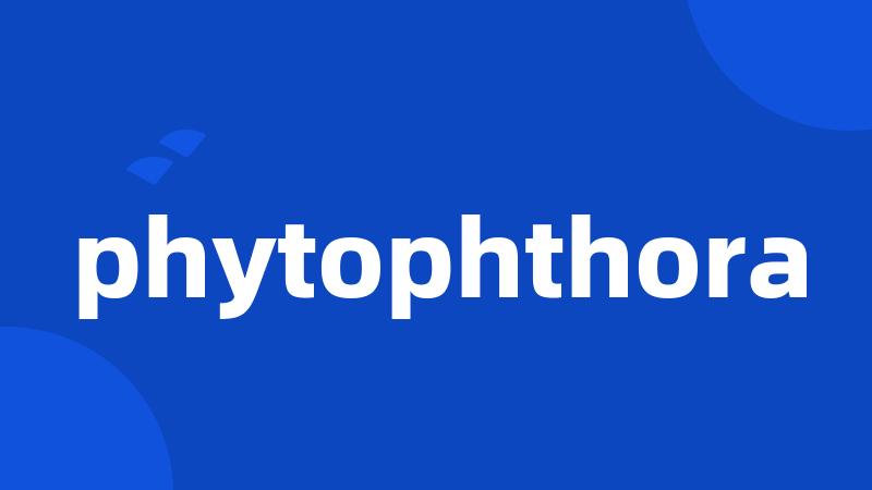 phytophthora
