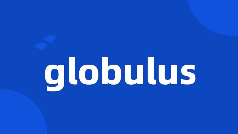 globulus