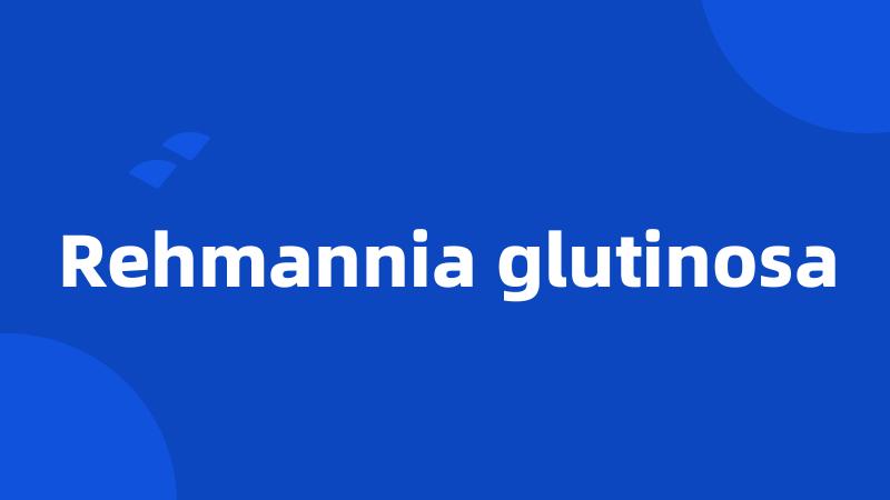 Rehmannia glutinosa