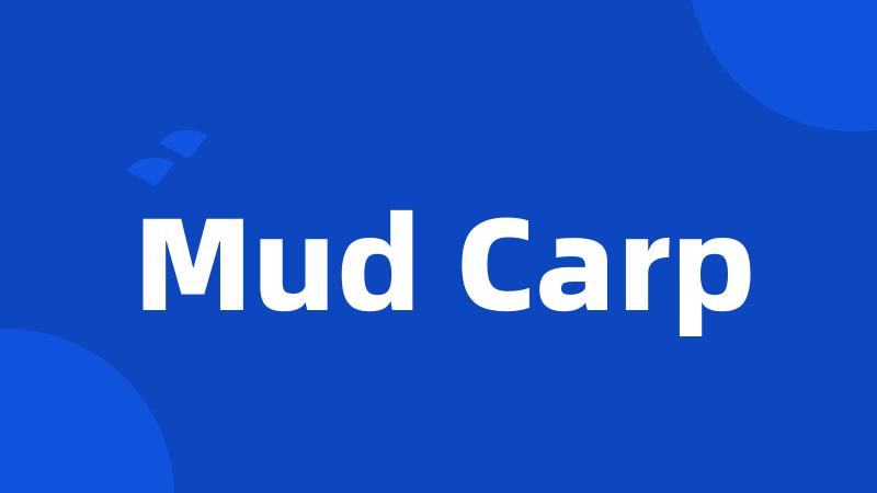 Mud Carp