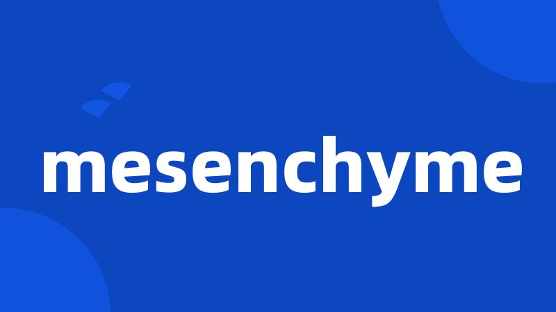 mesenchyme