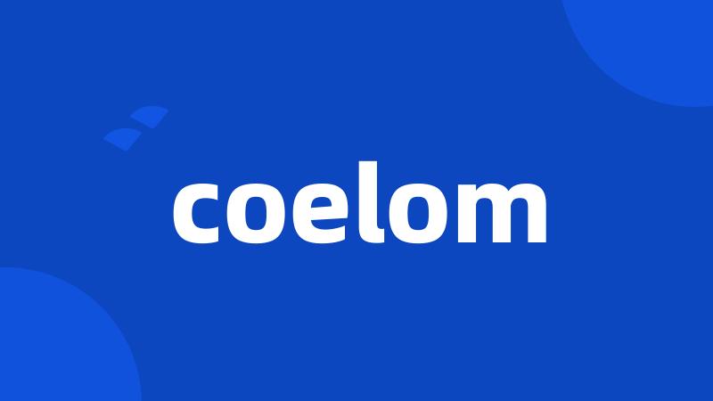 coelom