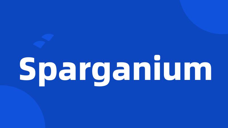 Sparganium