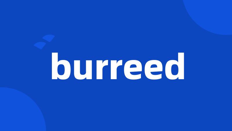 burreed