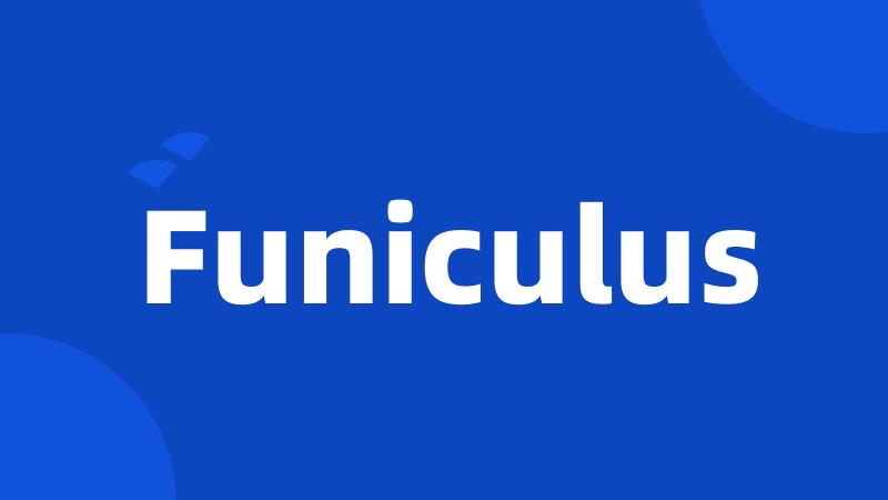 Funiculus