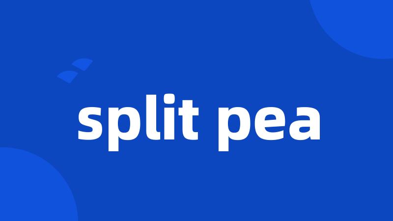 split pea