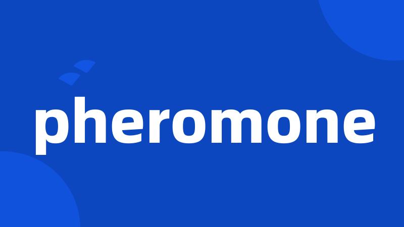 pheromone