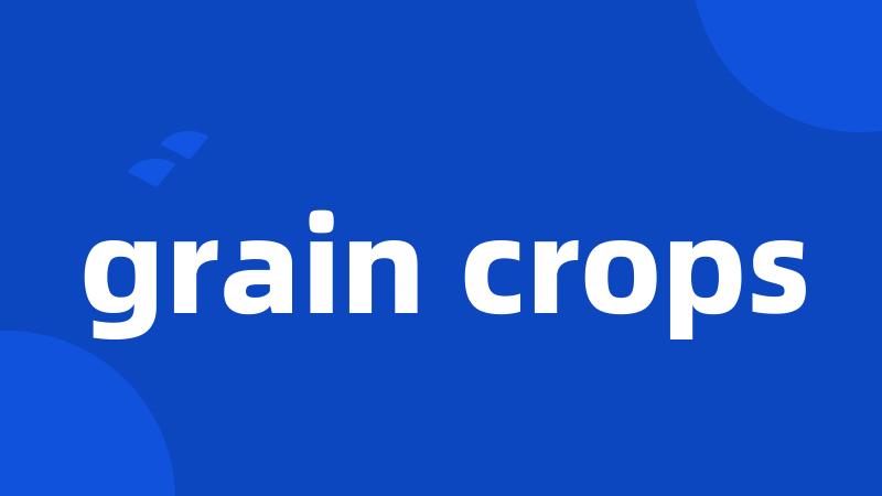 grain crops