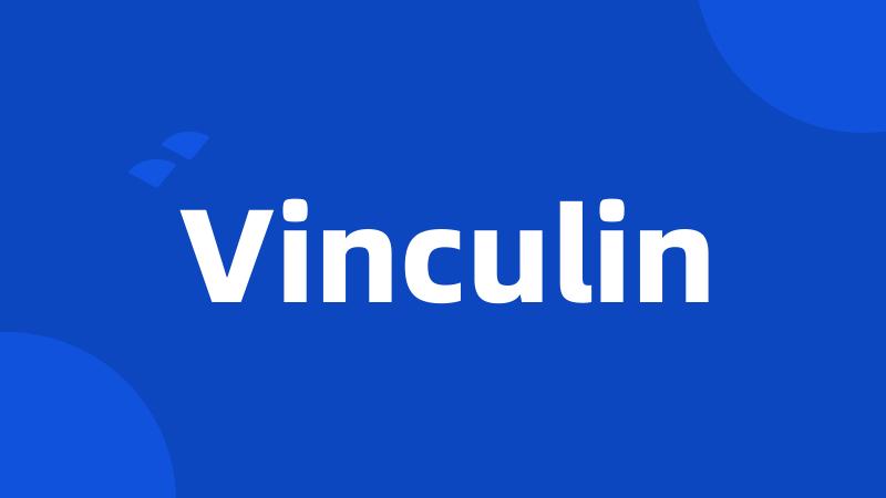 Vinculin