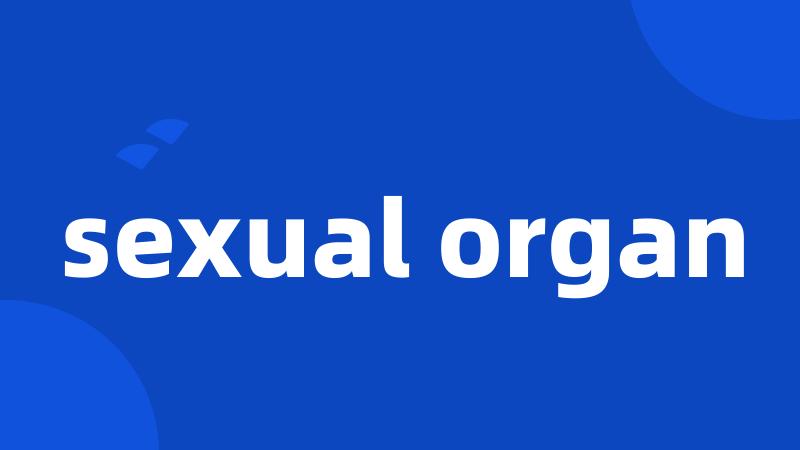 sexual organ