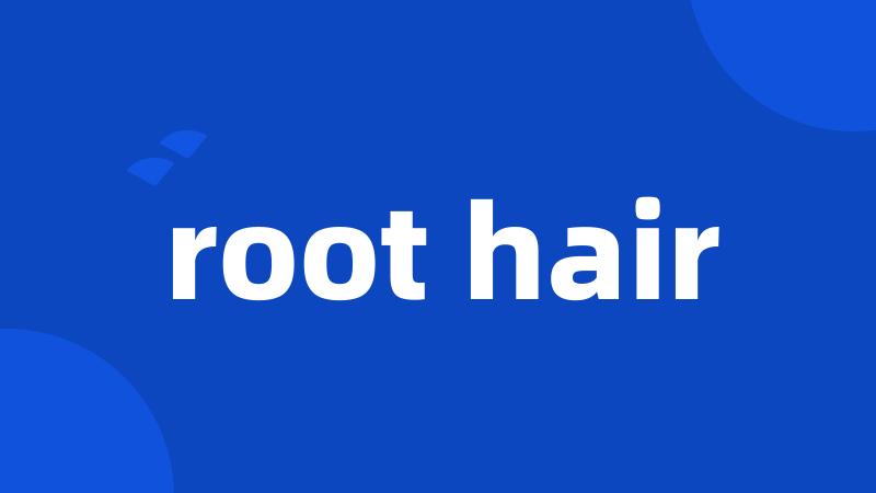 root hair