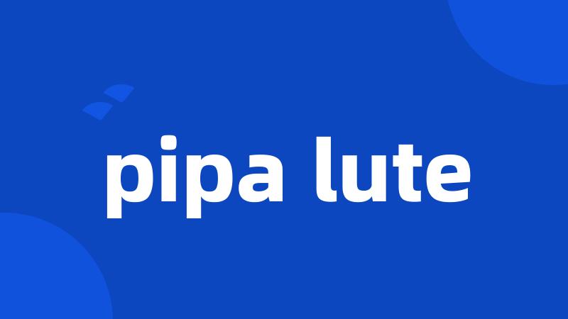 pipa lute