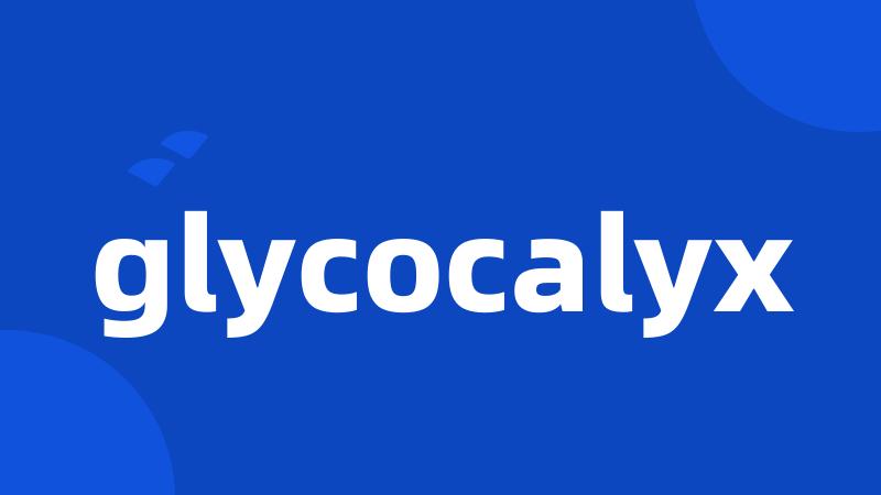 glycocalyx