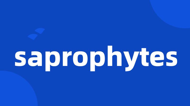 saprophytes