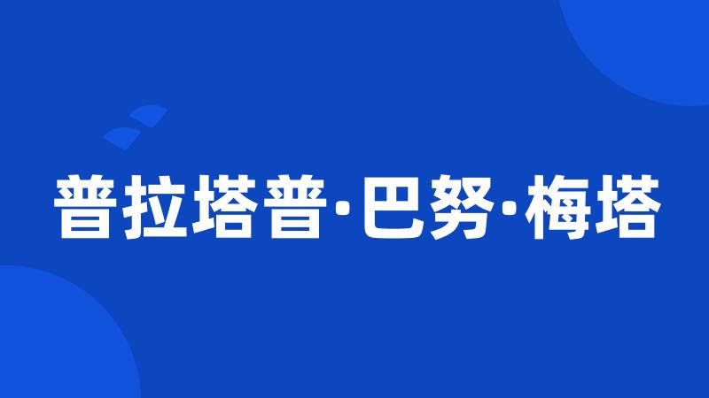 普拉塔普·巴努·梅塔