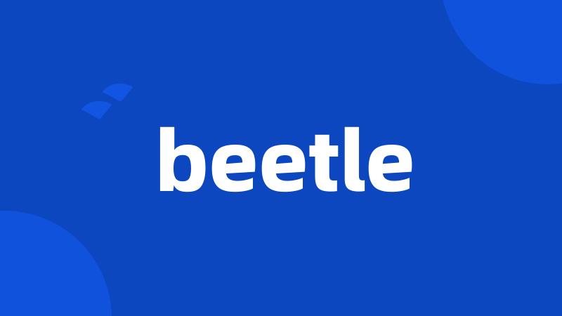 beetle