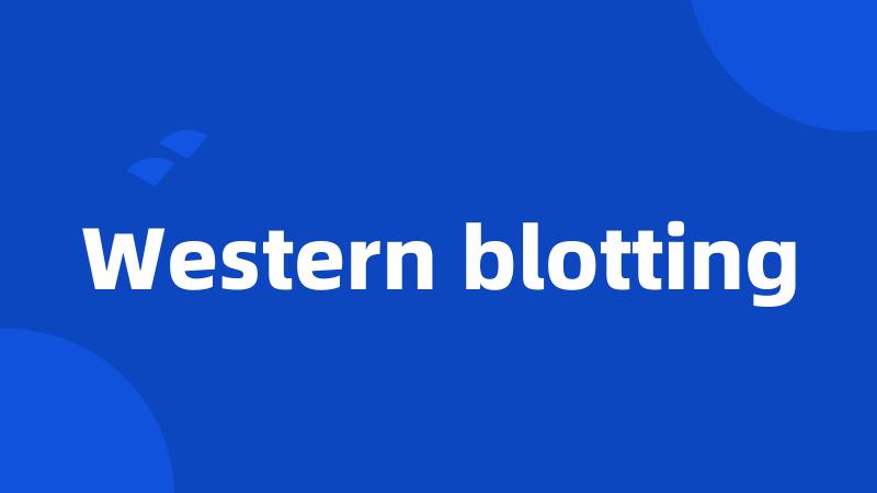 Western blotting