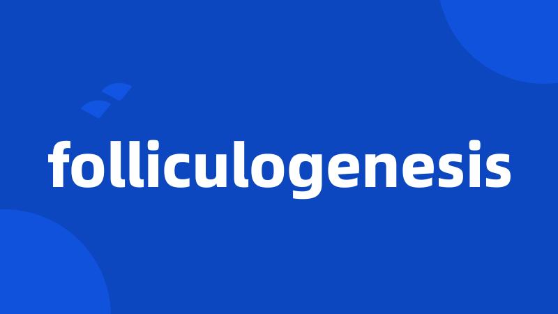 folliculogenesis