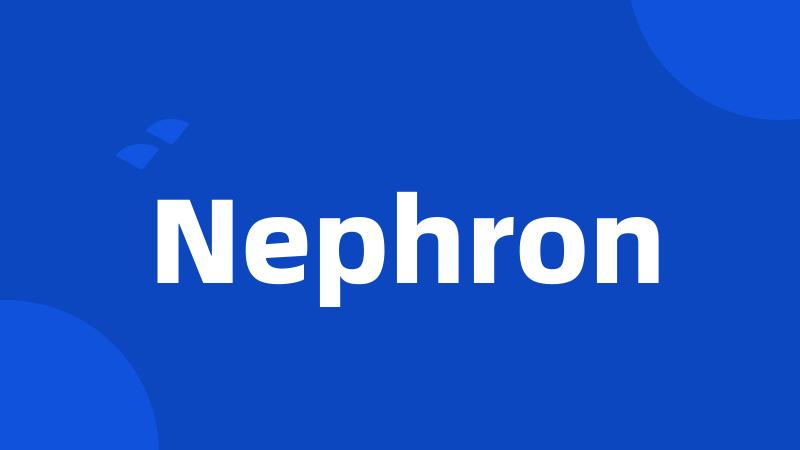 Nephron
