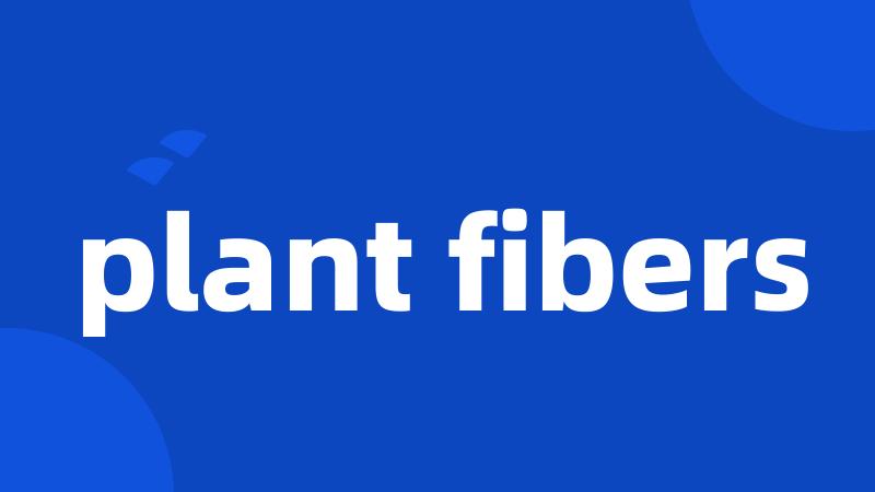 plant fibers